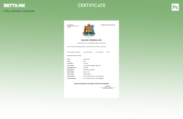 модерен стил Гренада од витално значење за умрениот шаблон Word и PDF шаблон